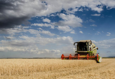 Cooperativas Agro-alimentarias estima una cosecha de cereales de 15,2 millones