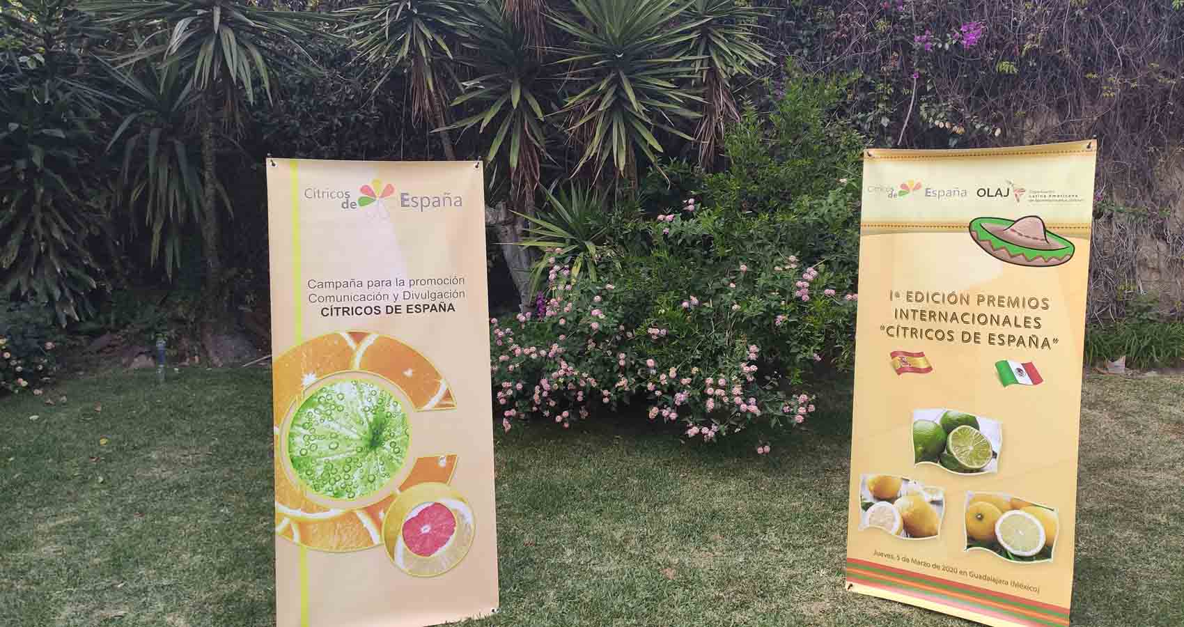 Los Premios Internacionales “Cítricos de España” triunfan con gran éxito