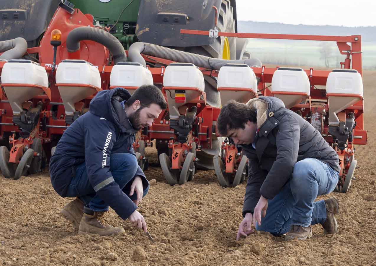 Socios de ACOR tendrán un ahorro de 180 euros por hectárea en la semilla de remolacha