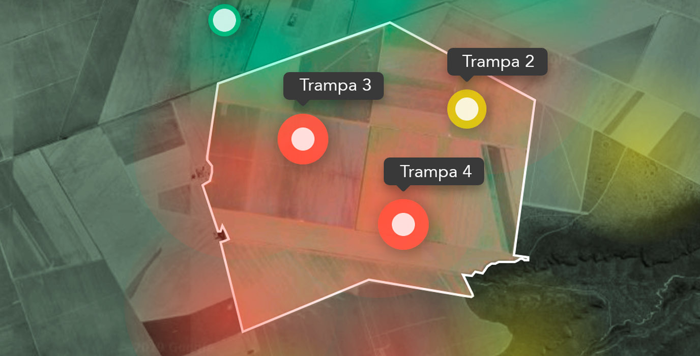 “Arc™ farm intelligence” la nueva App de FMC para la sostenibilidad en el cultivo de algodón