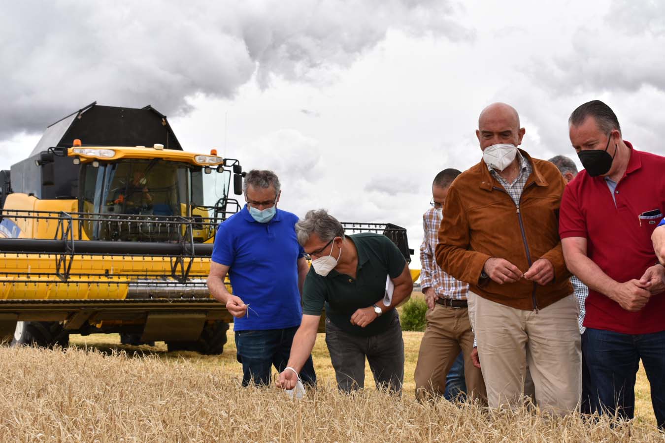 Castilla y León prevé cosechar 7 millones de toneladas de cereal