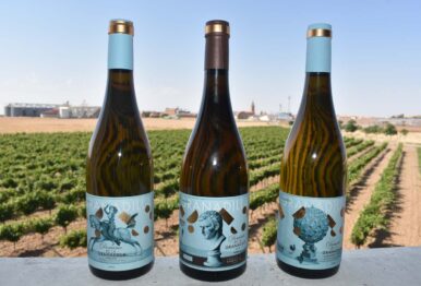Los vinos de esta familia reflejan el carácter de estos viticultores y el cuidado de la uva por encima de todo