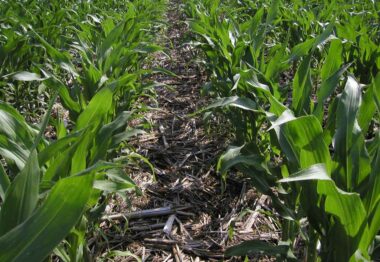 La Agricultura de Conservación como respuesta ante una situación de emergencia climática