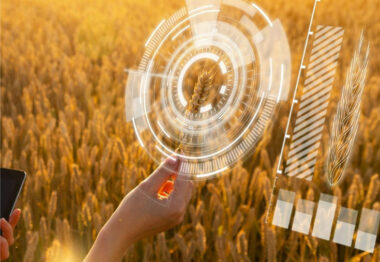 Syngenta elige Madrid como sede para localizar su Digital Hub internacional “Techfarm”