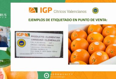 “Cítricos Valencianos” participa exitosamente en CITRUS FORUM