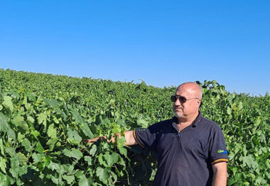 lucio FERNANDEZ EN VIÑEDO