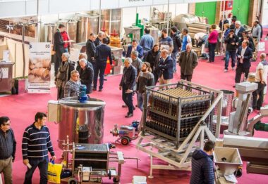 ENOMAQ escenario del potencial tecnológico de la industria del vino del aceite y de la cerveza