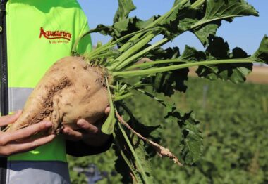 Azucarera 120 años de apuesta por el campo y el medio rural