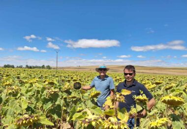 Jesús Riesco y Antonio J. Iniesta de Strube en la parcela de Arpegio de Miguel Vigo de Becerril de Campos (Palencia)