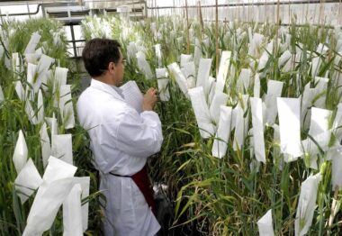 Rafael Sáez “El ITACyL ha sido clave como motor de cambio en la actividad del sector agroalimentario”