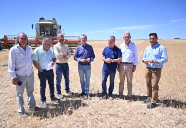 Castilla y León prevé buenos resultados en la cosecha de cereal de invierno