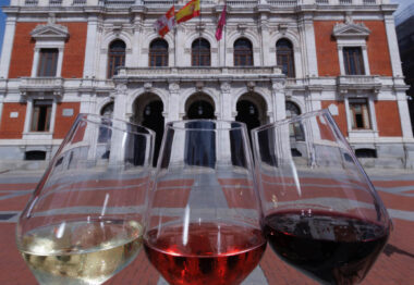 Las cinco Denominaciones de Origen con territorio en Valladolid, grandes protagonistas de ‘Vino+ Valladolid’