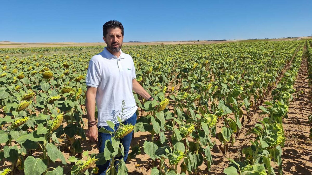 Entrevista a Diego Alonso Martín Técnico comercial en Agritec Medina