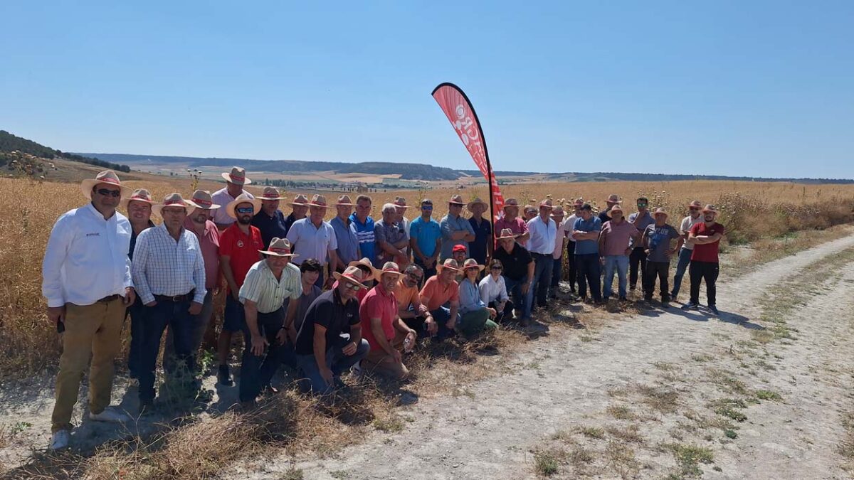 Innovación Agrícola al Servicio del Agricultor