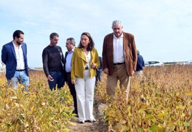 La Junta muestra las posibilidades de la soja como un cultivo alternativo para el regadío de Castilla y León