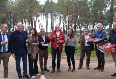 Castilla y León lidera el cultivo de planta de fresa en Europa con la exportación de casi un tercio de la producción