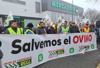 Los ganaderos de ovino se concentran para pedir un precio justo para la leche